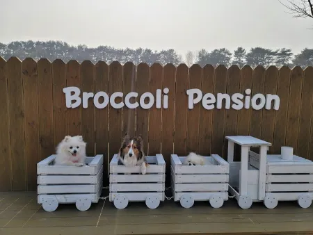 Broccoli Pension