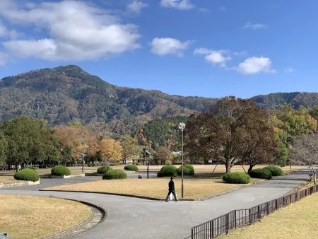 North Garden