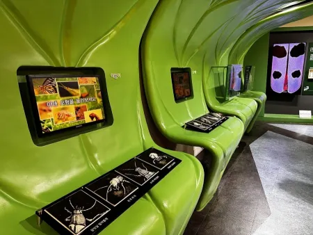 Yangpyeong Insect Museum