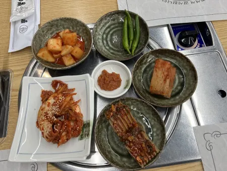 뽕이나무