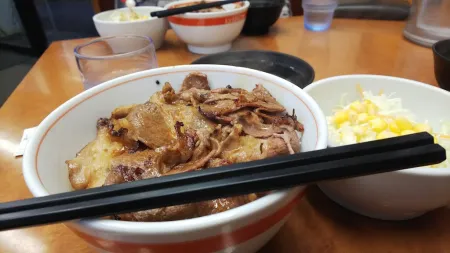 Tokyo Chikara Meshi