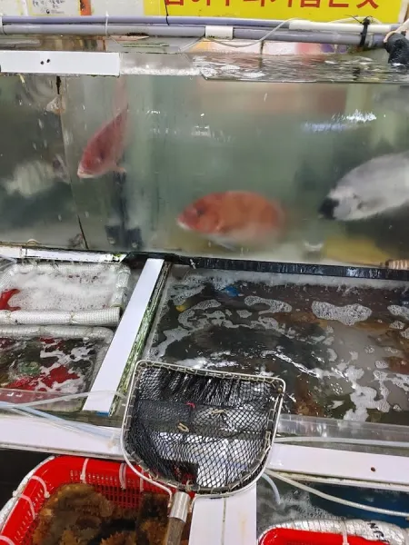 Haeundae Sealand Sashimi Center