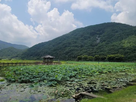 Sangni Lotus Park