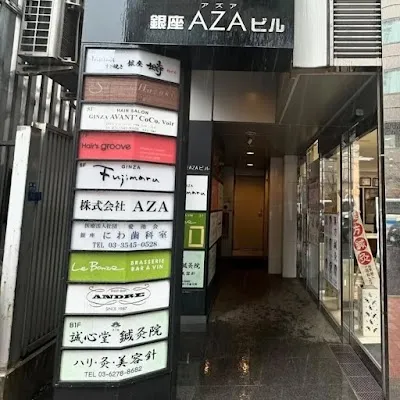 Ginza Negura