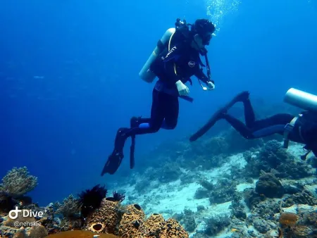Mactan Scuba Dive Center
