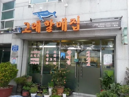 Gorae Gogi Halmajip
