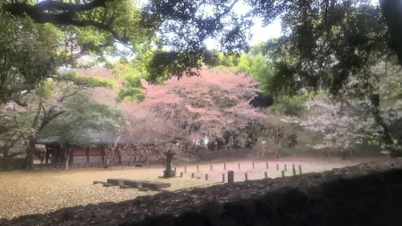 삼성혈