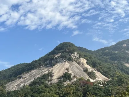 仏岩山 展望台