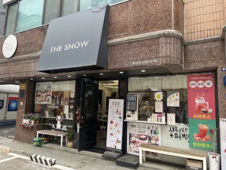 더스노우 대치점