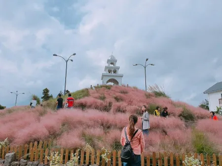 Jeju herb garden