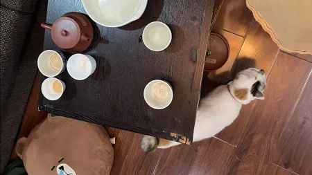 Saigon Hidden Attic Tearoom