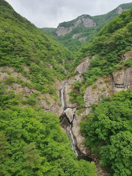 Heungnyong Pokpo