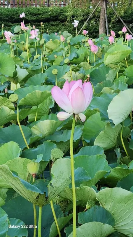 고성생태학습관