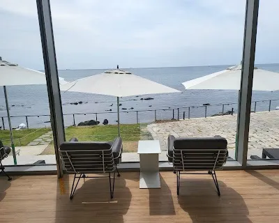 헤이든