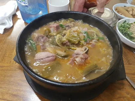 느티나무집