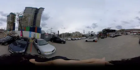 Jangeoui Kkum