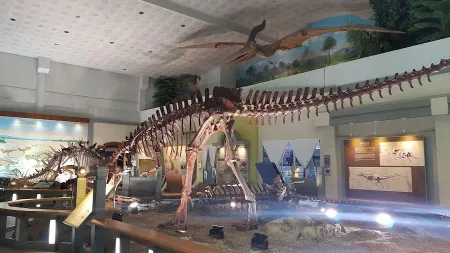 Dino Kids World