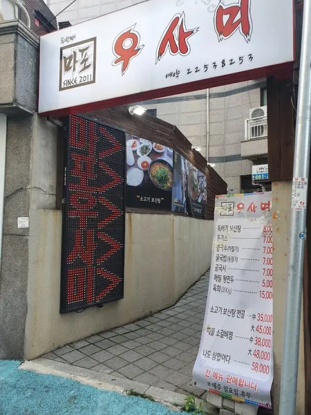 Mapo Usami