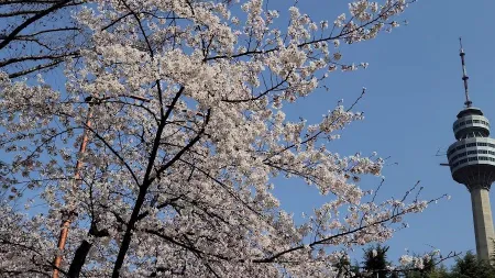 Duryu Park (Daegu)