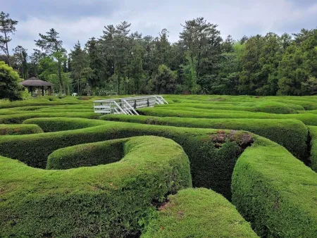 金寧迷路公園
