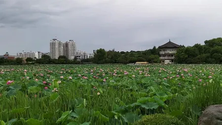 Deokjin Park