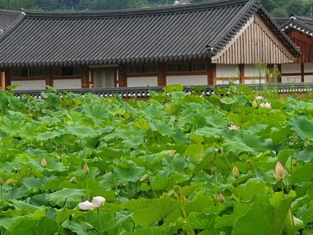 오시오식당