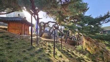 Busan Gupo-dong Dangsup