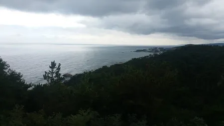 감포댐