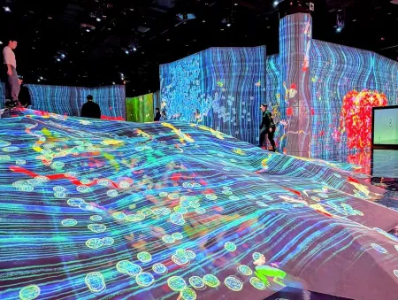 teamLab Future Park Okinawa チームラボ 学ぶ！未来の遊園地 沖縄