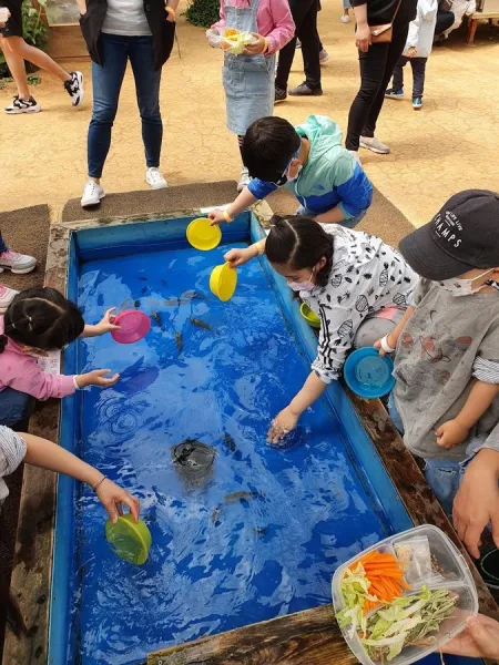 나눔농장 아기동물체험