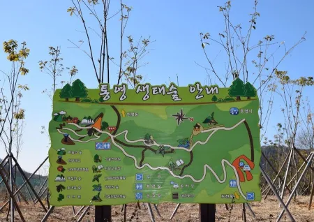 Tongyeong Ecological Forest