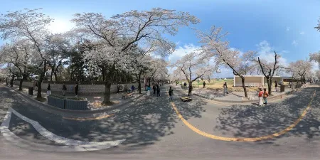 Daereungwon Stone Wall Path