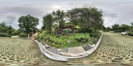 Sandong Ecological Forest