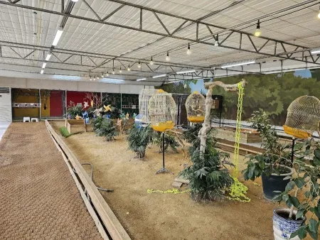 Bird & Zoo