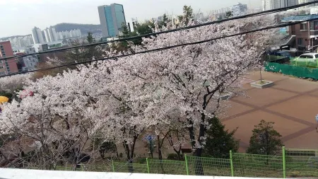 Biryong Swimteo