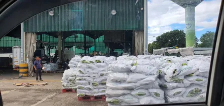 Seoul Garak Fruit and Vegetable Wholesale Market