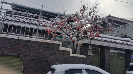龍雲綜合市場