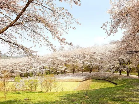 韓国科学技術院 オウンドンサン