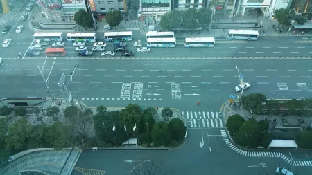 크로커다일 서면롯데점