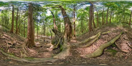 덕룡산 불회사