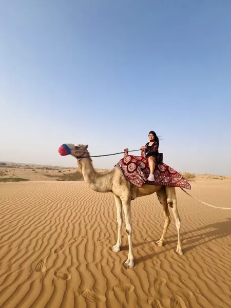 Go Dubai Desert Safari Tours