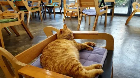 Factory Soran