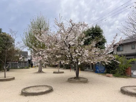 Wakamatsu Park