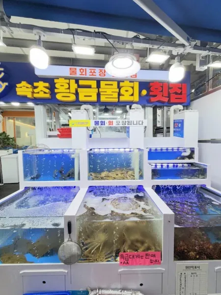 Sokcho Hwanggeum Mulhoe