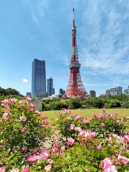 Prince Shiba Park
