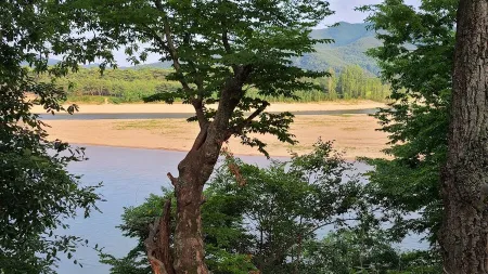 겸암정사