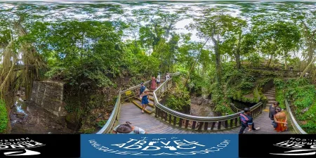 Monkey Forest