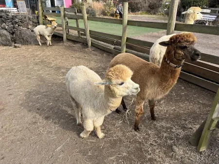 Dochidol Ranch