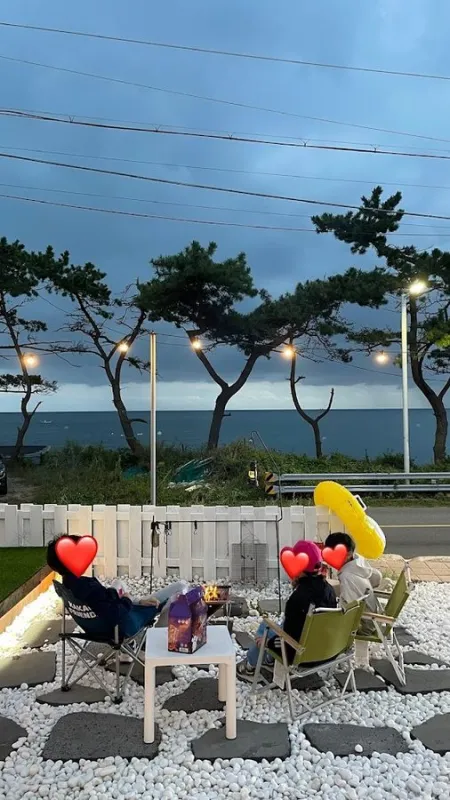 오션비비
