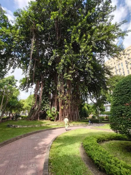 Bach Tung Diep Park